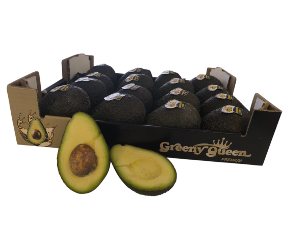 Aguacate Greeny Queen 4 Kg