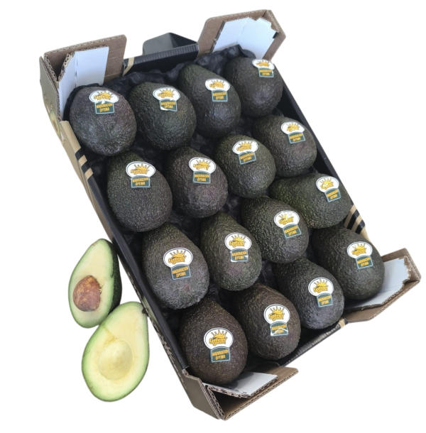 Aguacate Greeny Queen 4 Kg