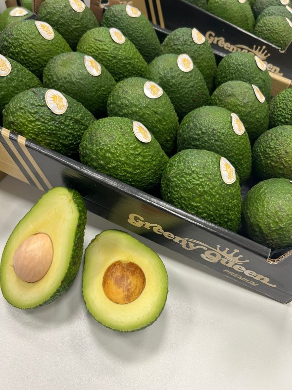 Aguacate Greeny Queen 4 Kg