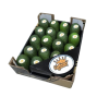 Aguacate Greeny Queen 4 Kg