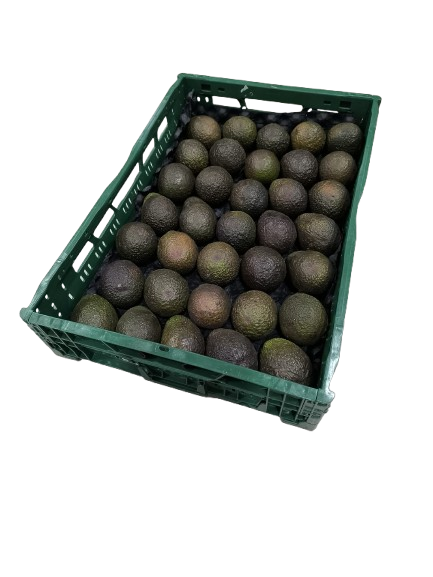 Formato Caja Granel 6