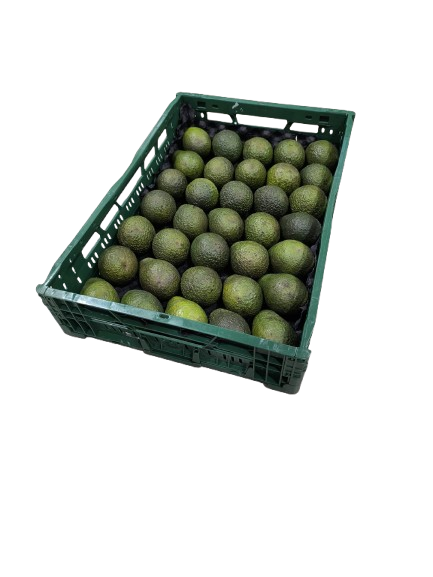 Formato Caja Granel 5