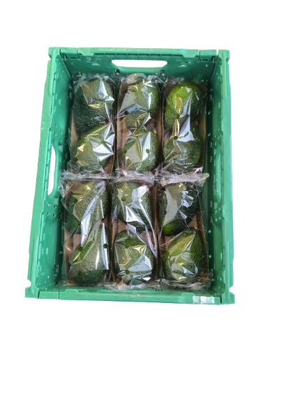 Formato Caja Flowpack 2