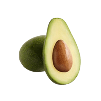 Aguacate Zutano