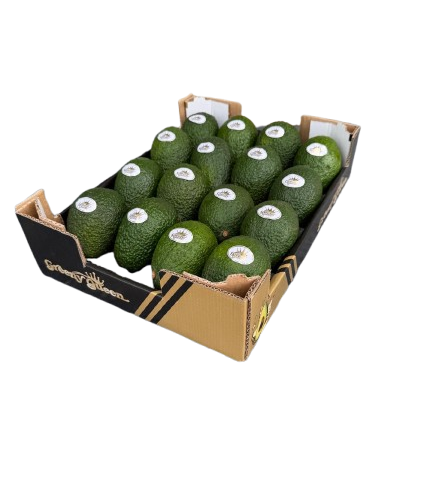 Aguacate Greeny Queen 4 Kg