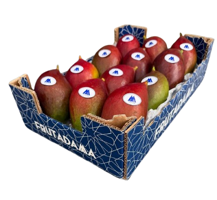 Mango Formato Alveolo